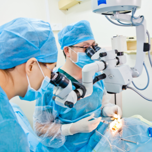 doctor-foto